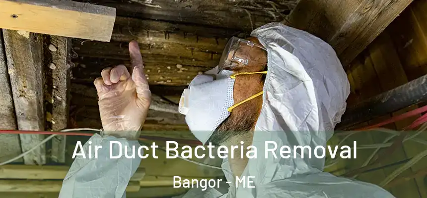 Air Duct Bacteria Removal Bangor - ME