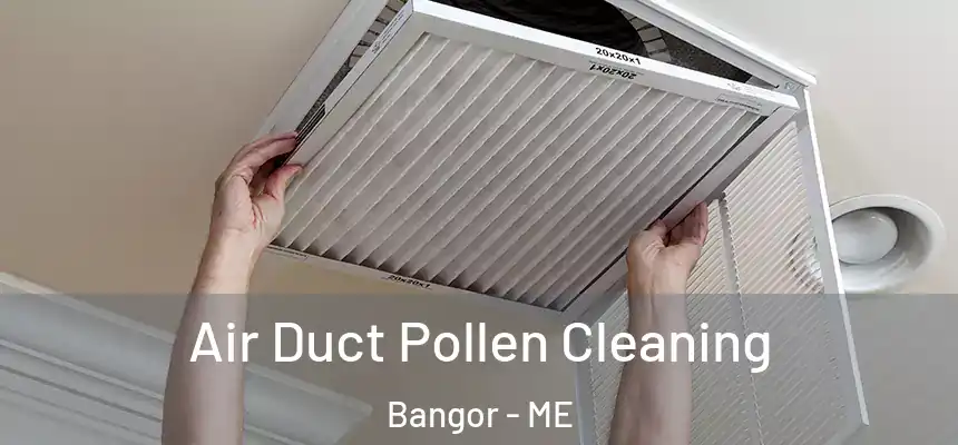 Air Duct Pollen Cleaning Bangor - ME
