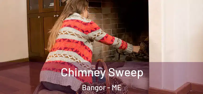  Chimney Sweep Bangor - ME