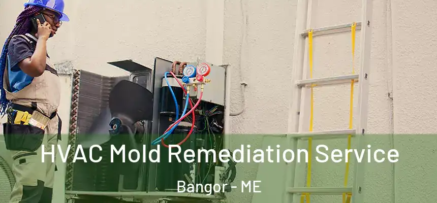  HVAC Mold Remediation Service Bangor - ME