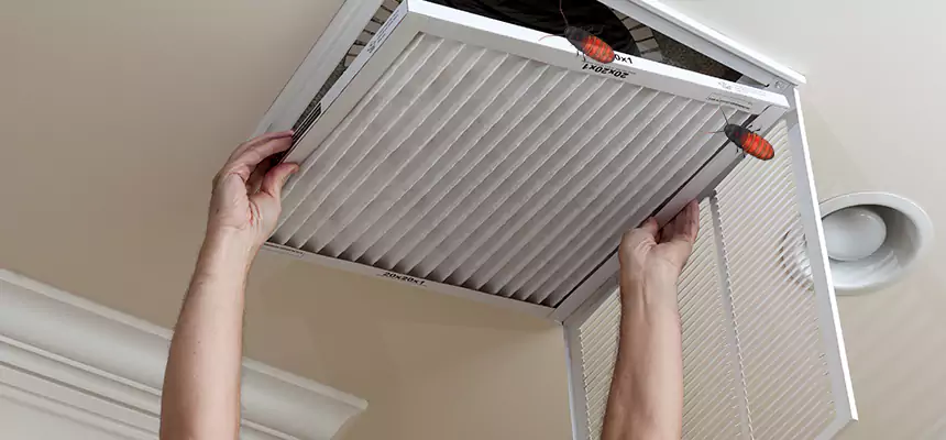 Preventive Cockroach-Proofing for Ducts in Bangor