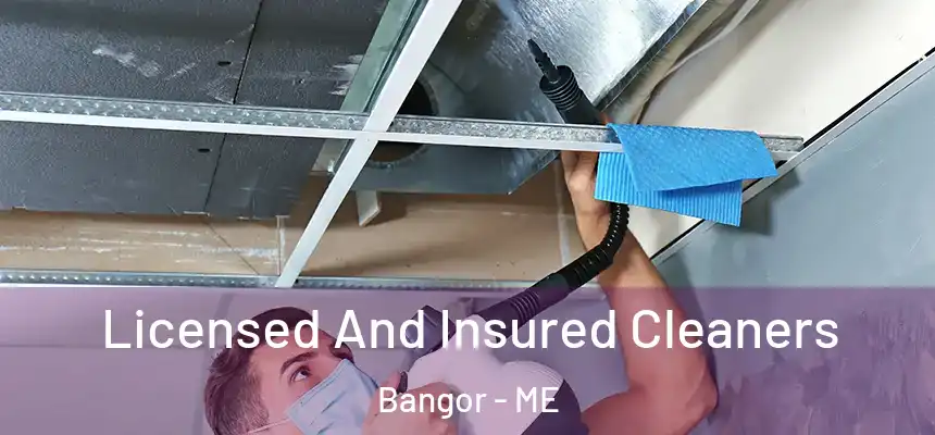 Licensed And Insured Cleaners Bangor - ME