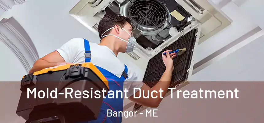  Mold-Resistant Duct Treatment Bangor - ME