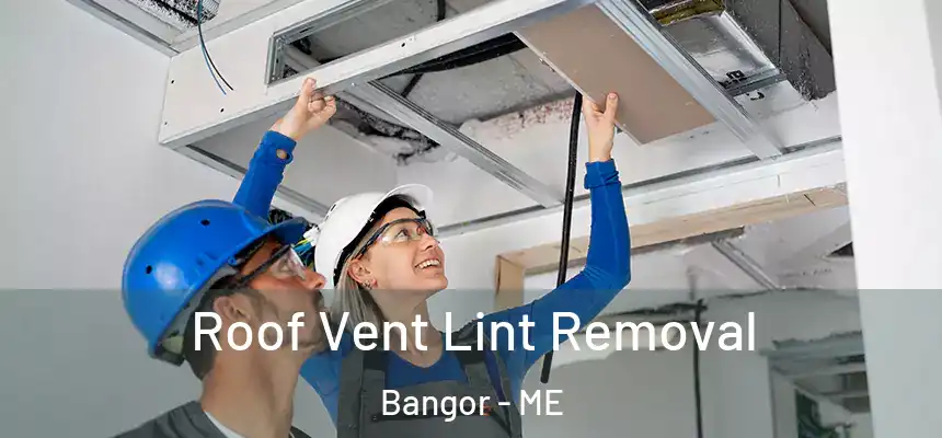  Roof Vent Lint Removal Bangor - ME