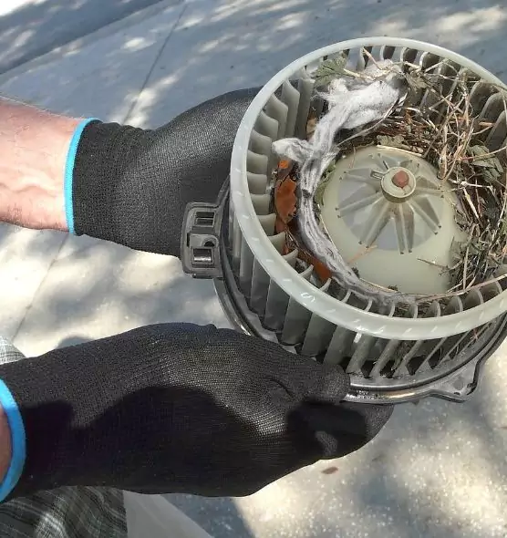 About Air Duct Mice Removal in Bangor, ME