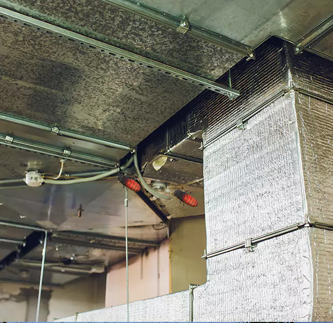 Why Homeowners & Businesses Trust Us in Bangor, ME?