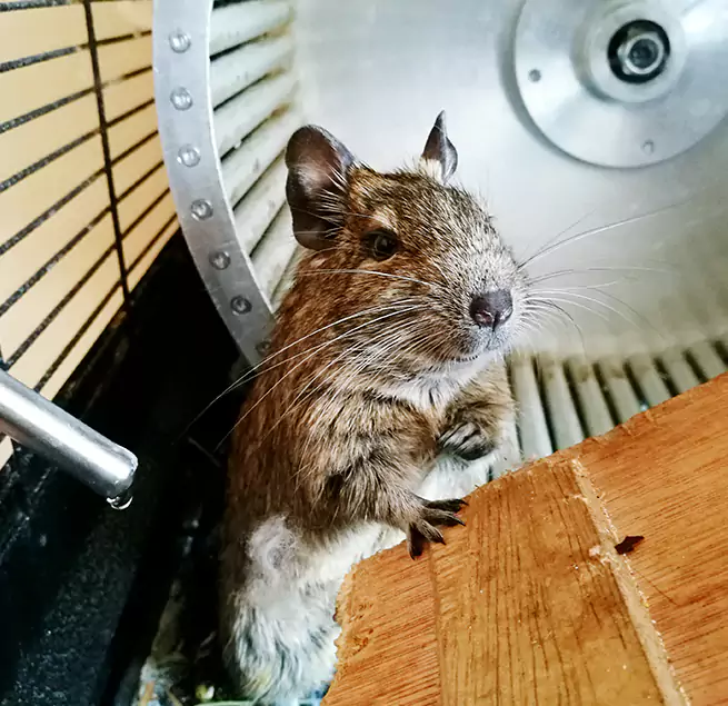 Why Homeowners & Businesses Trust Us Bangor, ME