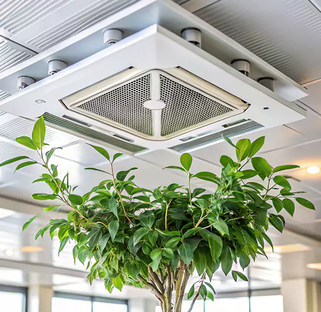 Why Homeowners & Businesses Trust Us in Bangor, ME?